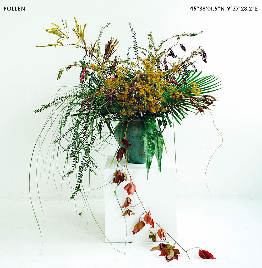 POLLEN  -  CREARE CON I FIORI -  Sabato 12 - 10:30 - 12:30